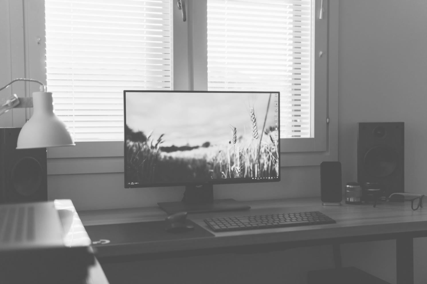 Financial analysis workspace with charts and calculators
